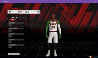 nba2konline2怎么自动换人